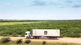 MSC Cargo משאית קירור, צילום: יחצ